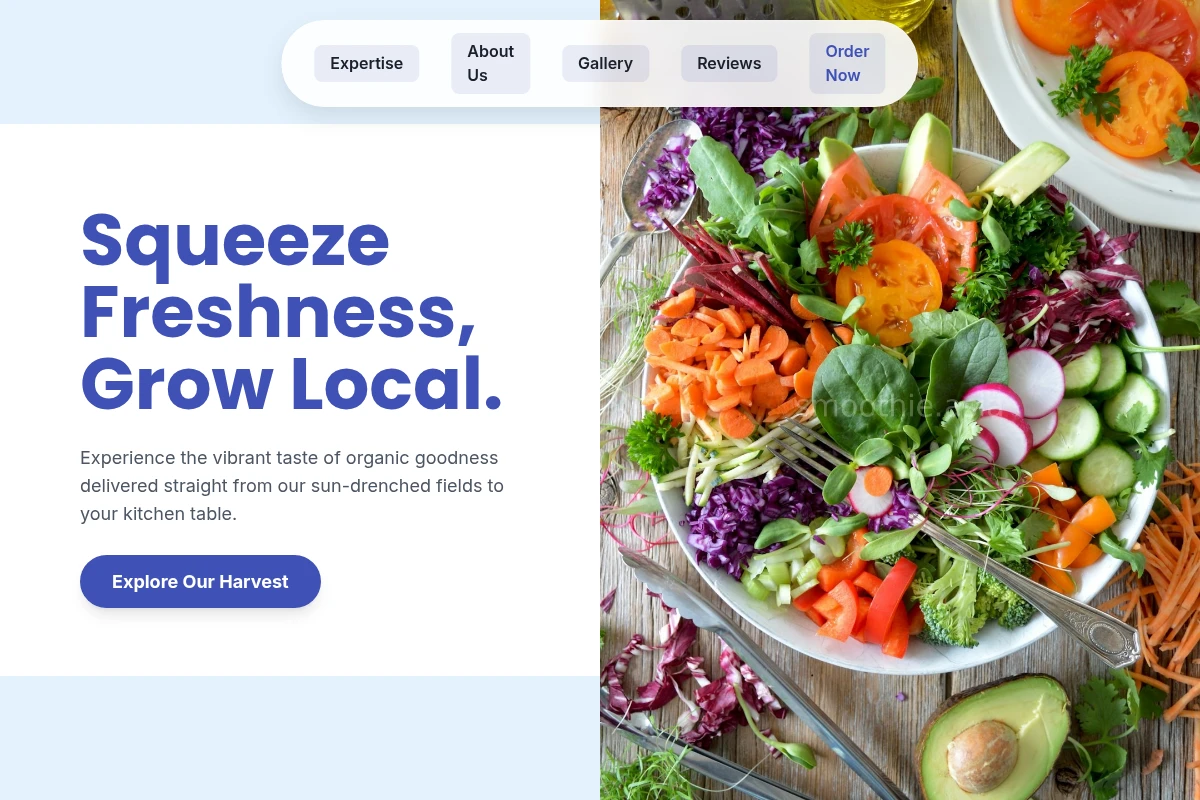 Healthy Organic Food