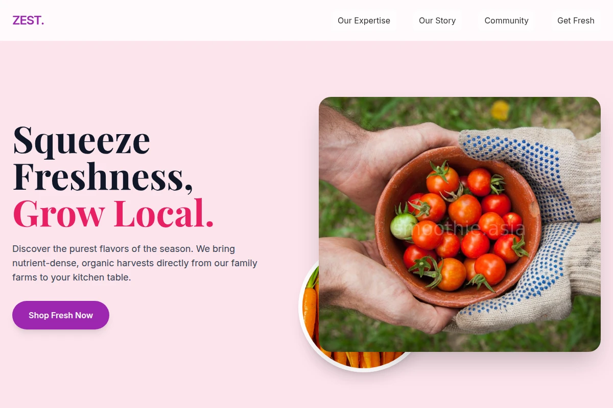 Zest Organic Food