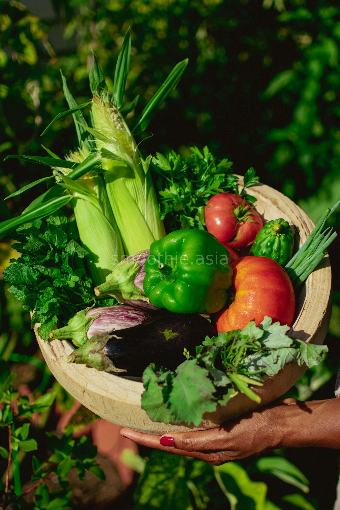 Secondary Harvest